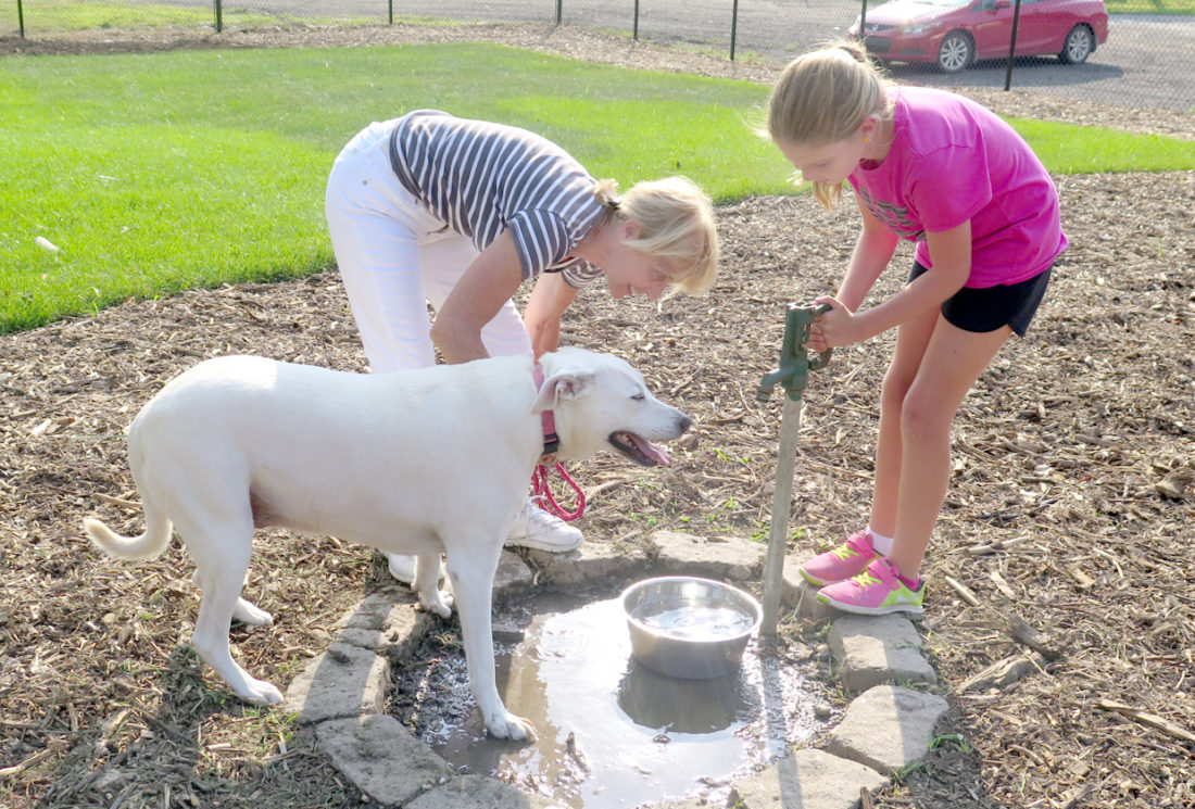 Fitzsimmons Family Dog Park in Wheeling Back Open for Spring News